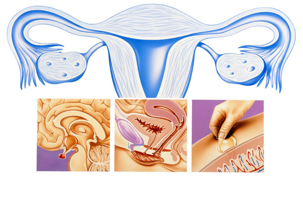 Menopause-Premarin